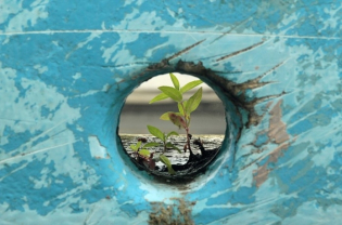 The Need for Resilience in the EU Economy